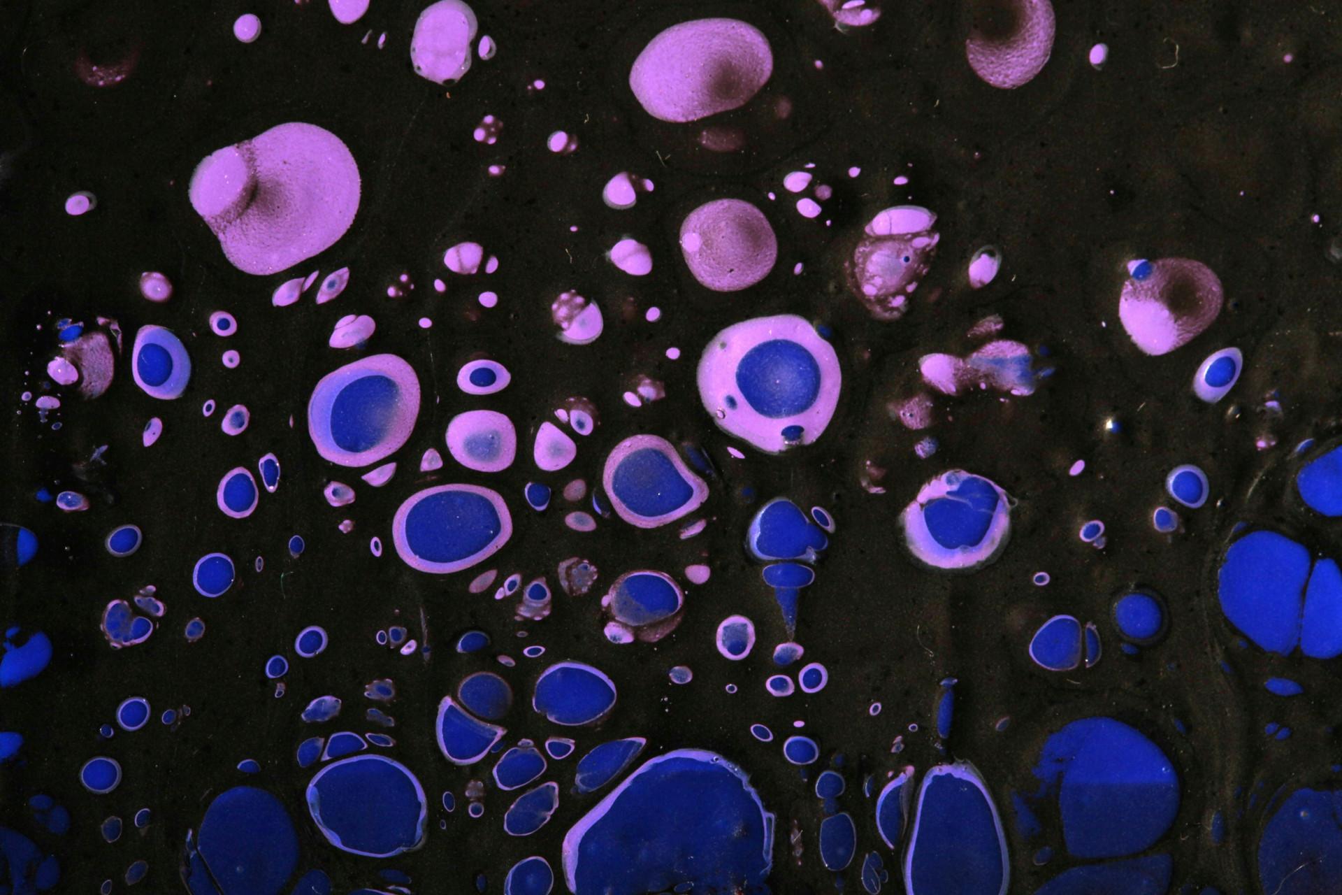 Hướng dẫn sử dụng Obsidian toàn tập