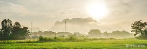 The-foggy-morning-in-my-hometown-Thanh-Hoa-parralax cover